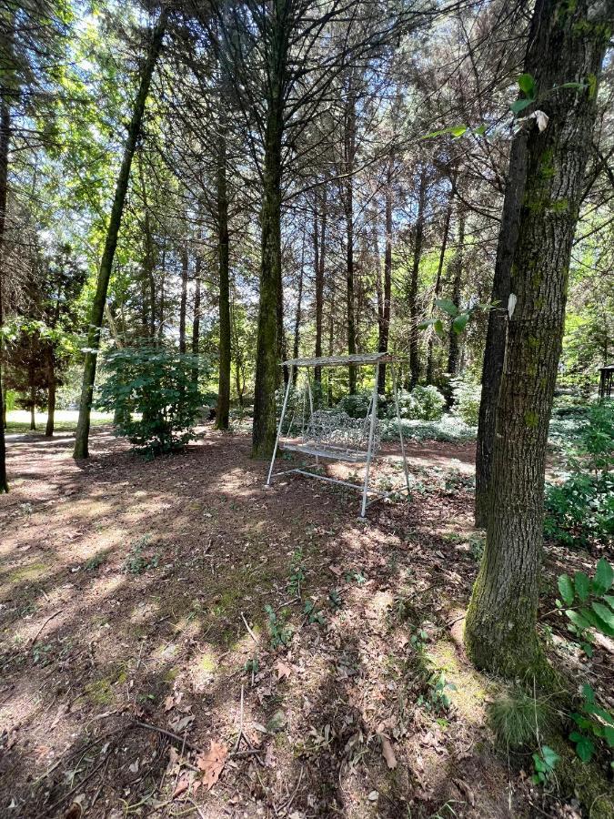 Villas Do Monte Guimarães Zewnętrze zdjęcie