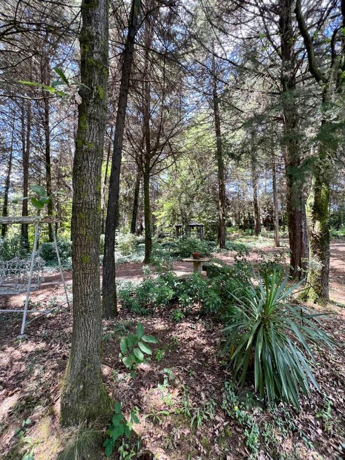 Villas Do Monte Guimarães Zewnętrze zdjęcie